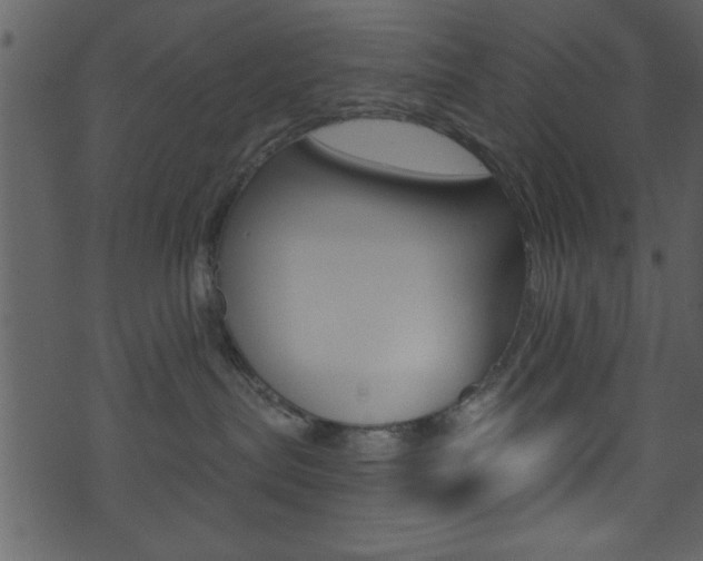X0000074220287200608250811