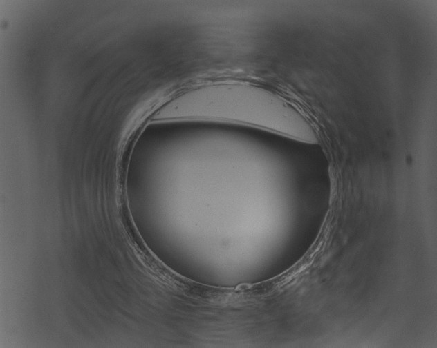 X0000074220293200608250810