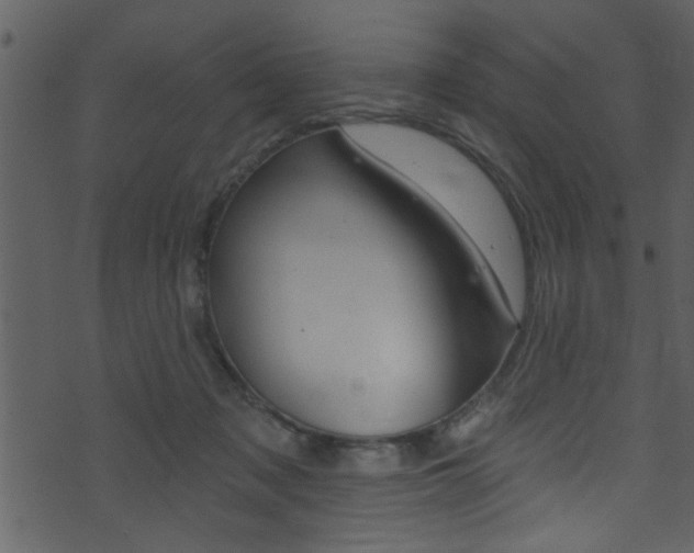 X0000074220317200608250810