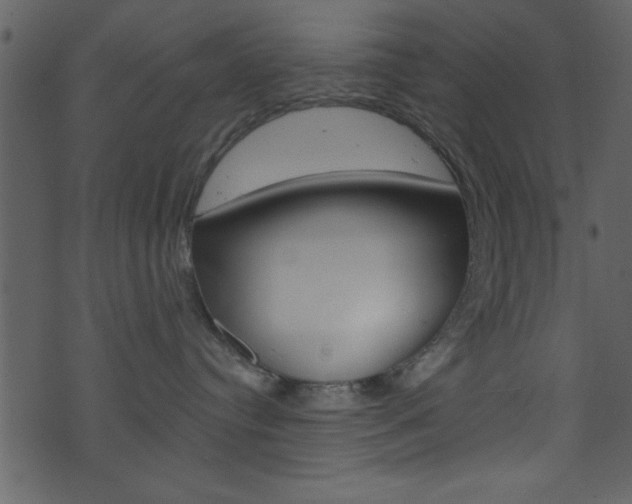 X0000074220384200608250809