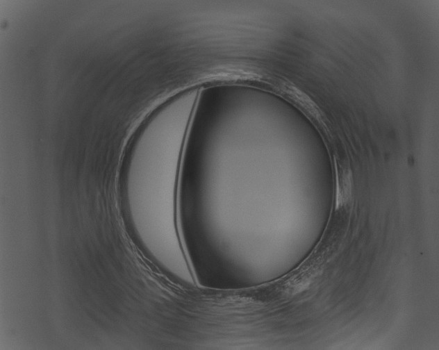 X0000074220387200608250808