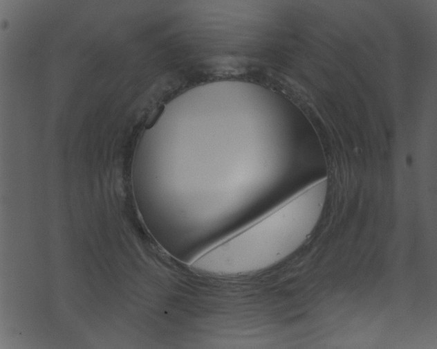 X0000074220512200608250806