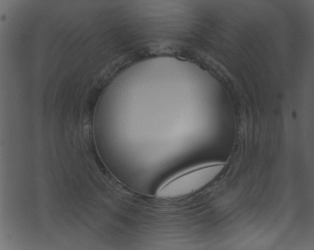 X0000074220513200608250806