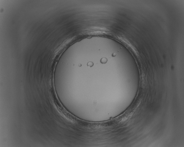 X0000074220533200608250805