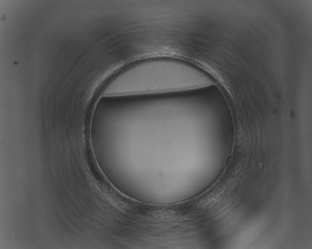 X0000074220535200608250805