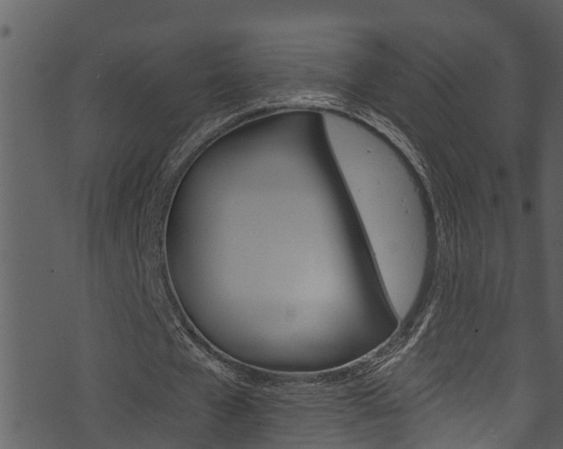 X0000074220577200608250805