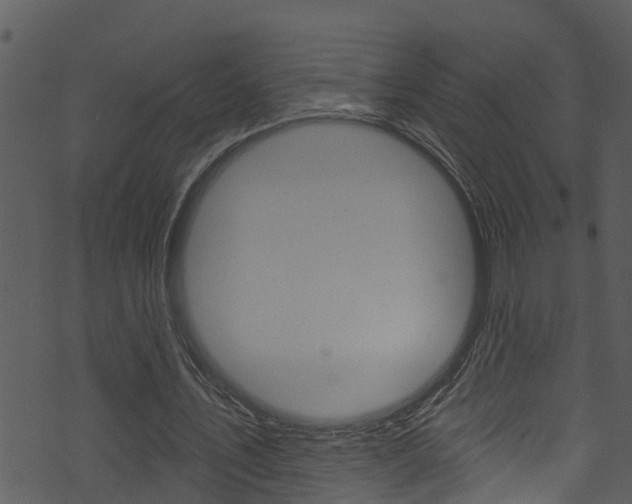 X0000074220579200608250805