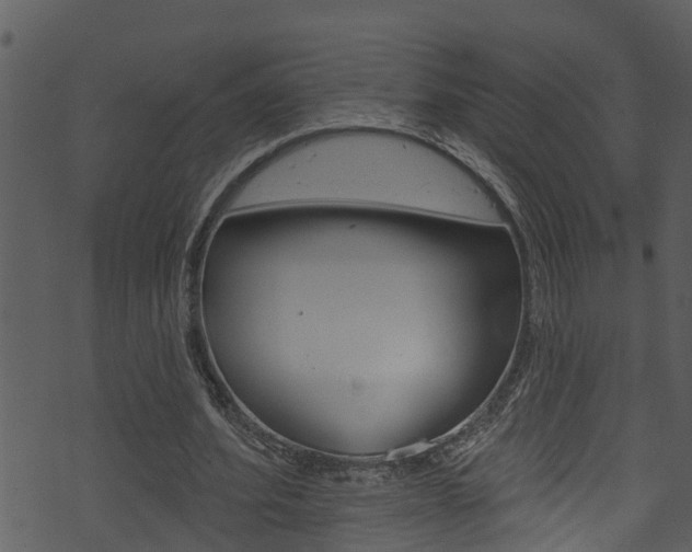 X0000074220580200608250805