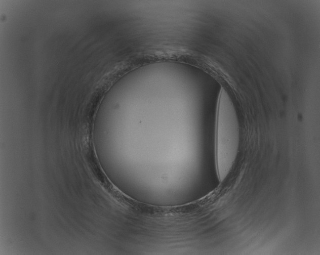 X0000074220593200608250805