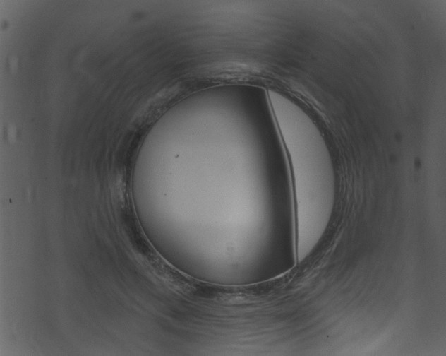 X0000074220597200608250805