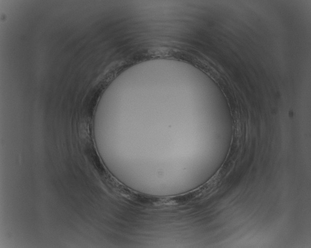 X0000074220603200608250805