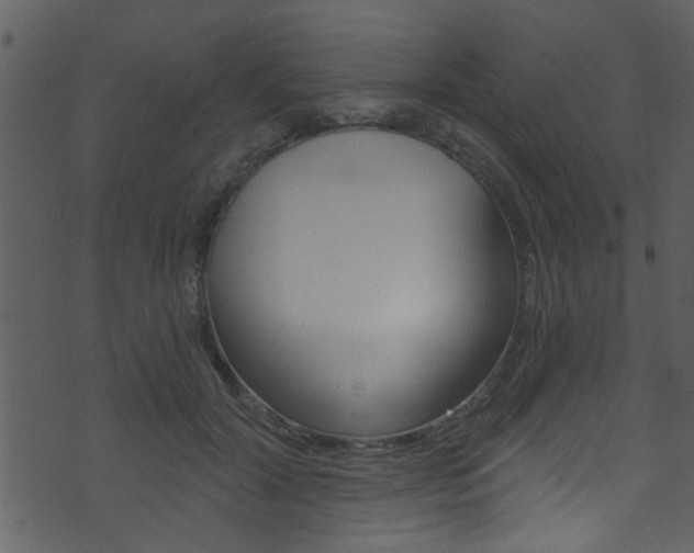 X0000074220604200608250805