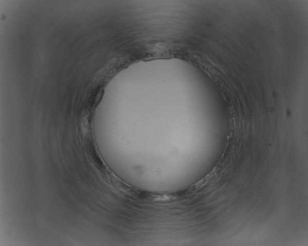 X0000074220611200608250805