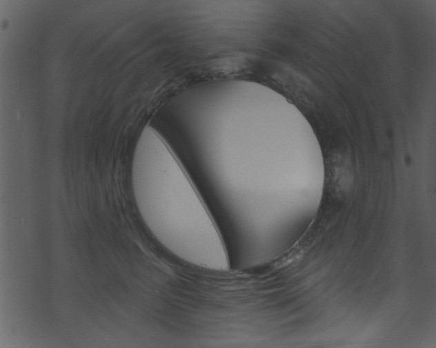 X0000074220615200608250805