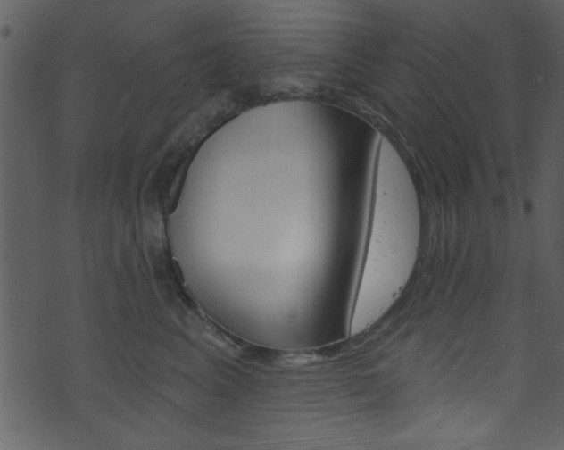 X0000074220617200608250805