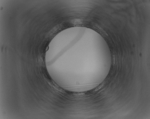 X0000074220618200608250805