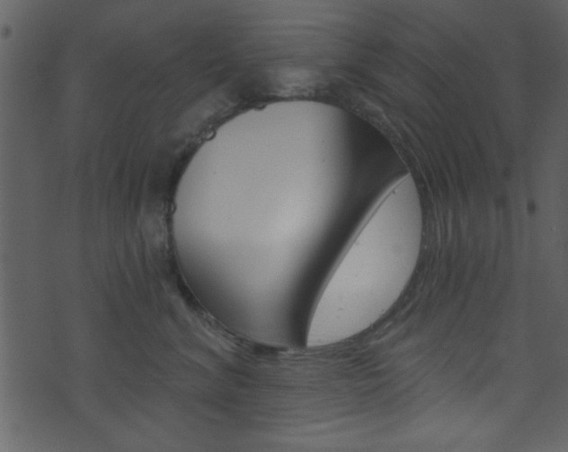 X0000074220620200608250805