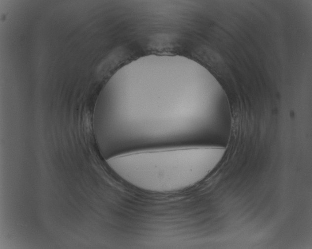 X0000074220623200608250805