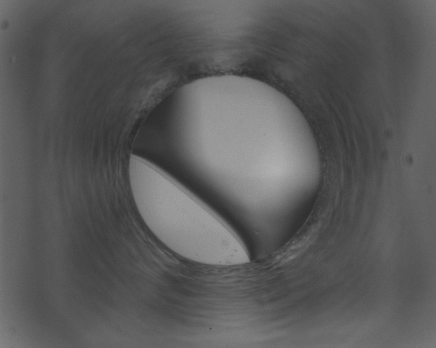 X0000074220624200608250805
