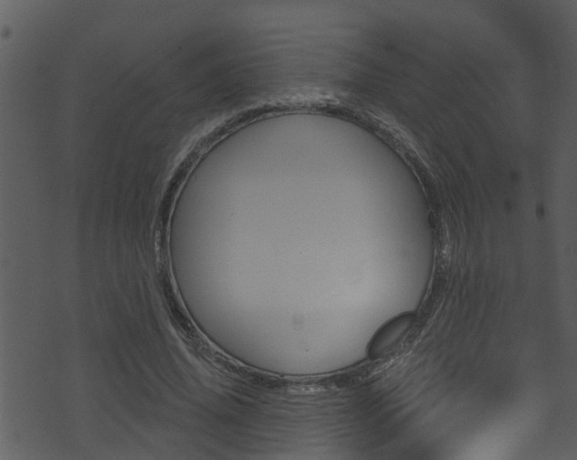 X0000074220636200608250804