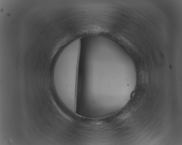 X0000074220638200608250804