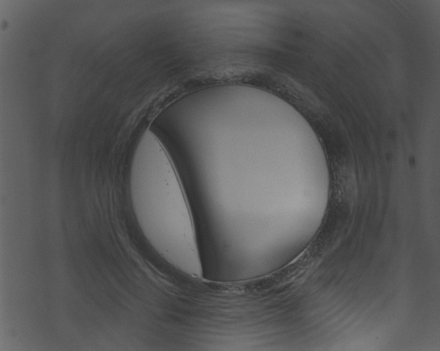 X0000074220644200608250804