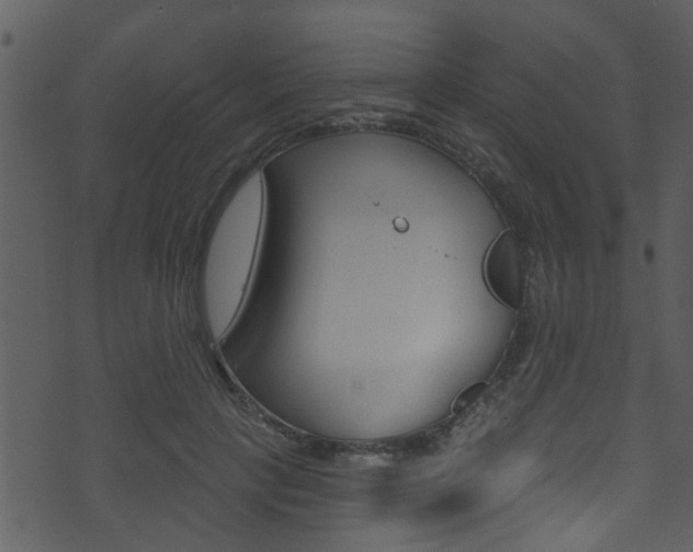 X0000074220649200608250804