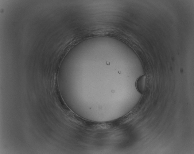 X0000074220652200608250804