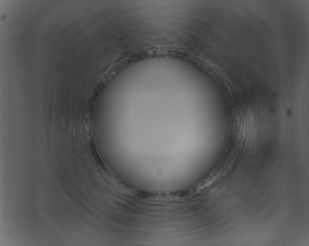 X0000074220661200608250804