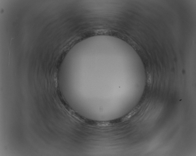 X0000074220666200608250804