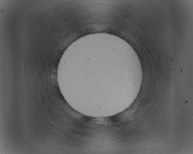 X0000074220672200608250805