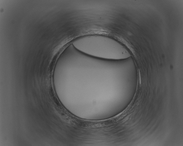 X0000074220675200608250804