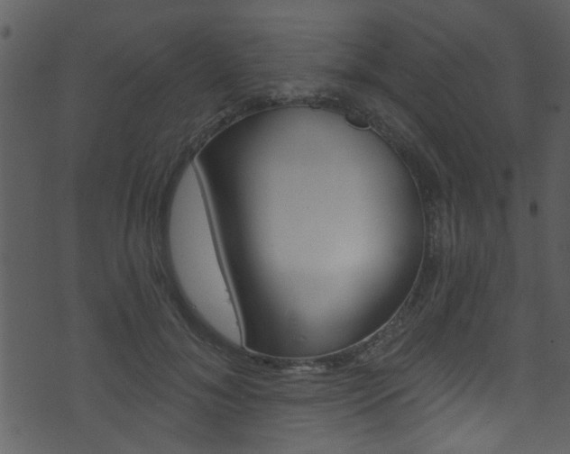 X0000074220700200608250803