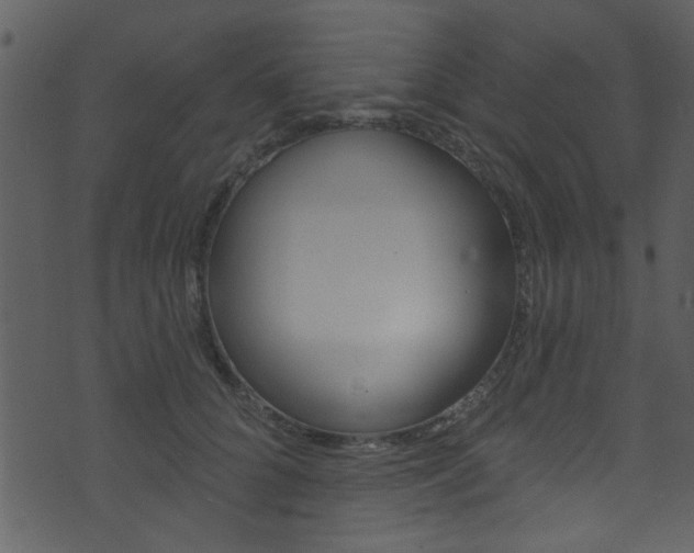 X0000074220704200608250803