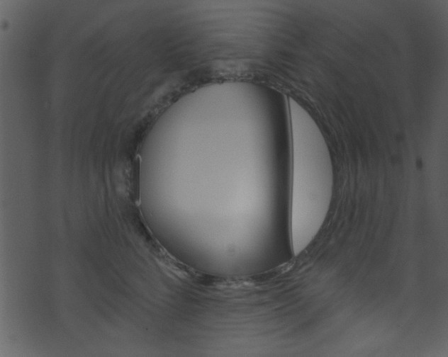 X0000074220712200608250803