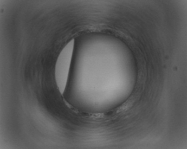 X0000074220720200608250803