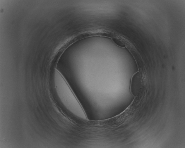 X0000074220732200608250802