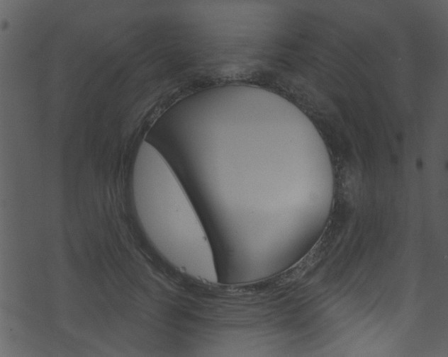 X0000074220746200608250803