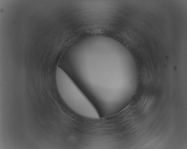 X0000074220747200608250803