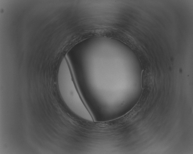 X0000074220750200608250803