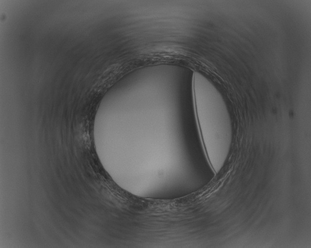 X0000074220771200608250802