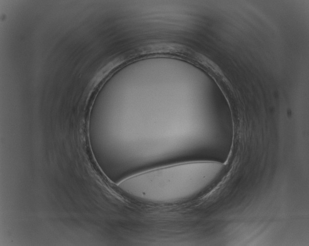 X0000074220786200608250802