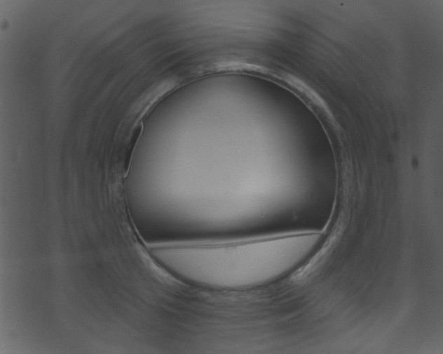X0000074220801200608250802