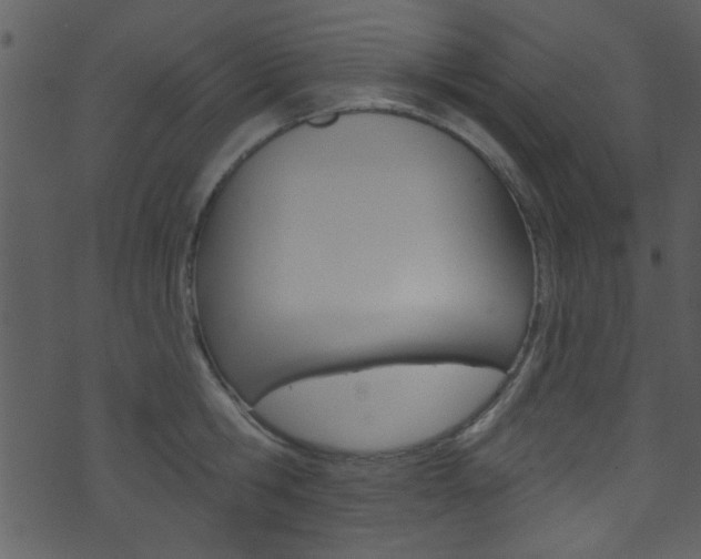 X0000074220806200608250802
