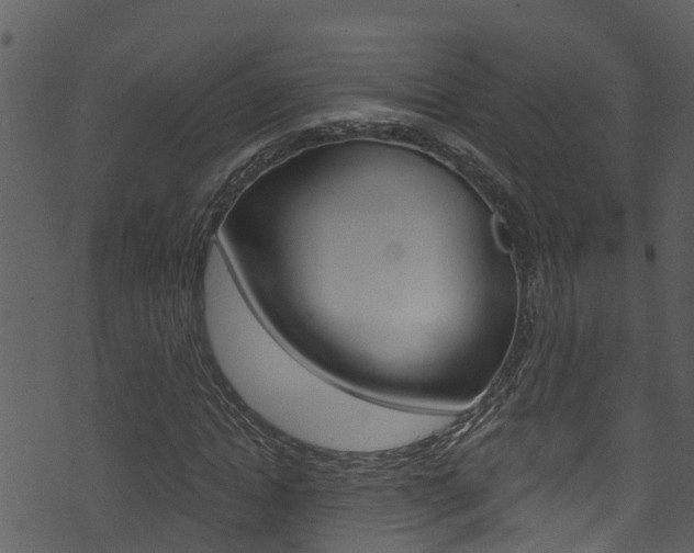 X0000074220822200608250801