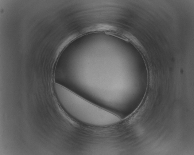 X0000074220850200608250801