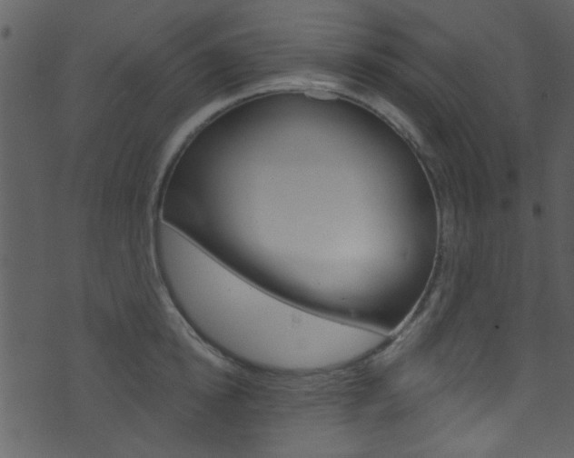 X0000074220854200608250801