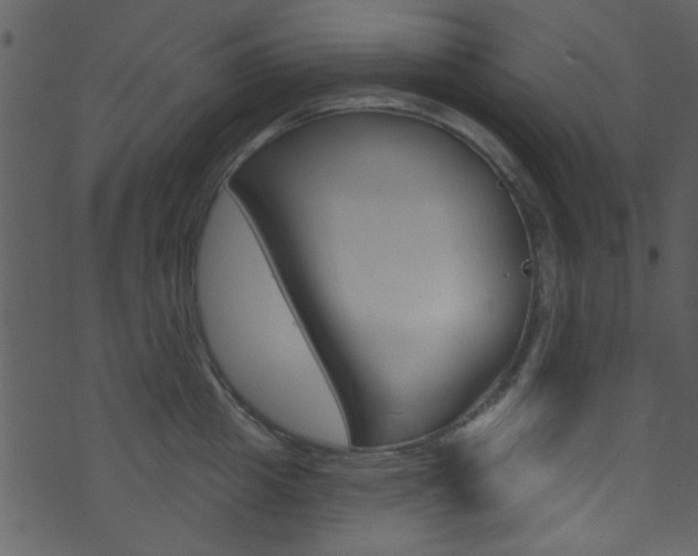 X0000074220857200608250801