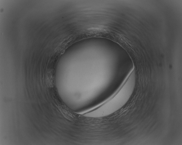 X0000074220868200608250801