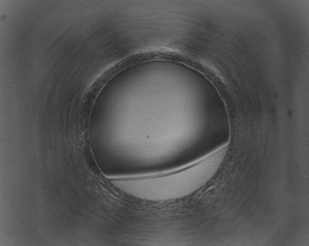 X0000074220872200608250801